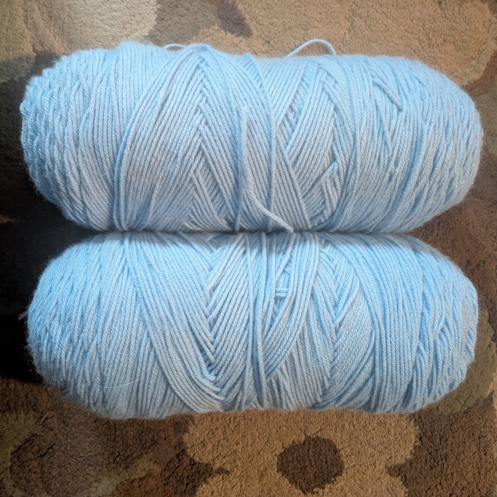 Light Blue Caron Yarn
